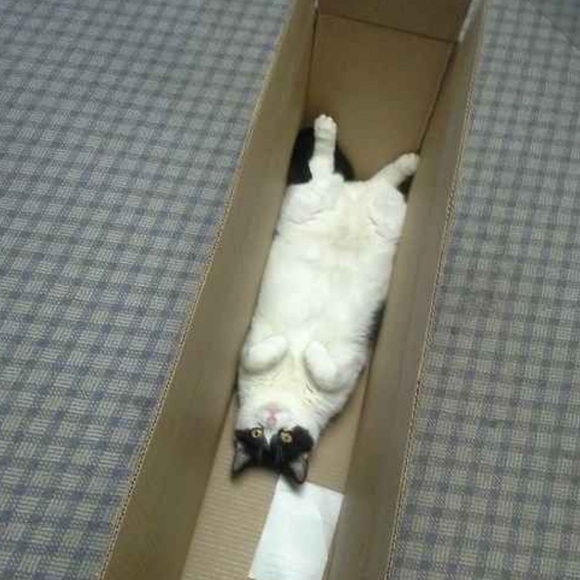 🌿I Pack With Care & Bubble Wrap🌿 - Picture 13 of 16